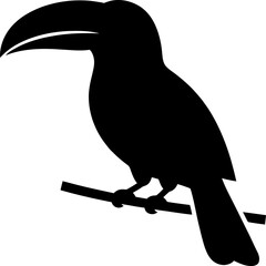 Black silhouette of a toucan bird perched on a branch  isolated on white background © Md Imran