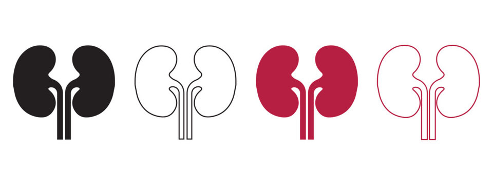 Human Kidney Vector Icon Set, Internal Organ Silhouette and Outline Medical Illustration Collection