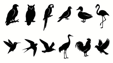 Obraz premium Bird Silhouette Vector Collection With Eagle Owl Parrot Dove Duck Flamingo Hummingbird Swallow Crane Rooster Flying Birds Isolated On White Background