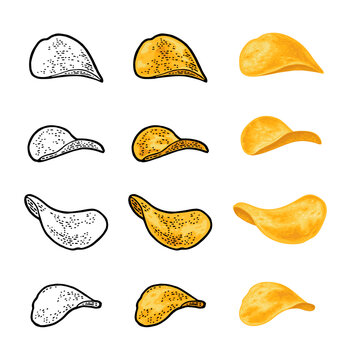 Potato chips. Vector engraving vintage color illustration. Isolated on white background. Hand drawn design element for label and poster
