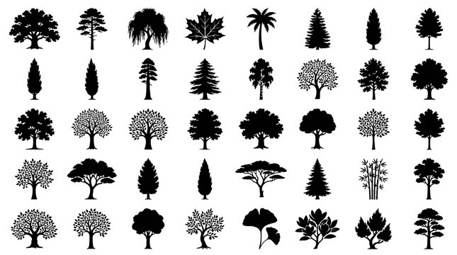 Vector illustration set of big trees silhouettes, minimalist black icons of generic various types of full trees, plants, leaves, and bamboo isolated on a white background.