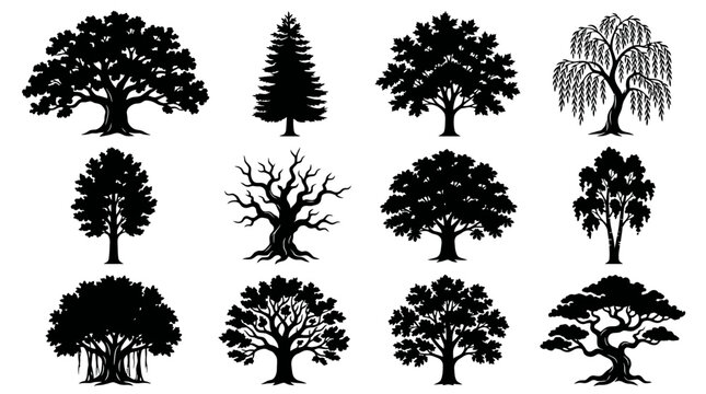 Vector illustration set of big trees silhouettes, minimalist black icons of generic various types of full trees isolated on a white background.
