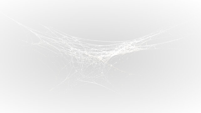 Creepy spider web isolated vector for Halloween decoration elements