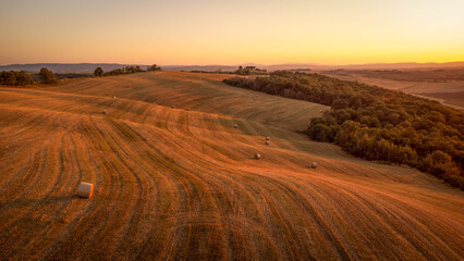 Obraz premium Val d'Orcia in Tuscany, Italy, showing recently harvested fields with their characteristic textured soil patterns and a winding dirt road leading through the hills during the golden hour.