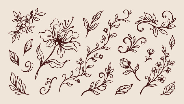 delicate floral vine flower pattern, romantic garden plant nature background, hand drawn floral vine illustration, beautiful flower vine plant print, delicate floral vine sketch set, garden flower vin