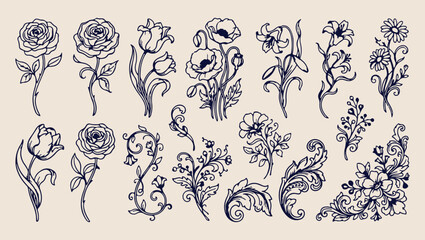 delicate flower nature bloom pattern, romantic garden plant nature background, hand drawn floral bloom illustration, elegant flower bloom plant print, delicate floral bloom sketch set, garden flower b © Geetaroy