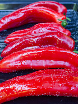 Fresh Red Romano Peppers on a Gas Grill. Close-up of salted and oiled red romano peppers on a black sheet on a gas grill being grilled for a vegetarian meal.