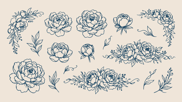 elegant rose flower blossom pattern, romantic floral garden nature background, hand drawn rose flower illustration, beautiful rose blossom plant print, elegant rose flower sketch set, garden rose blos