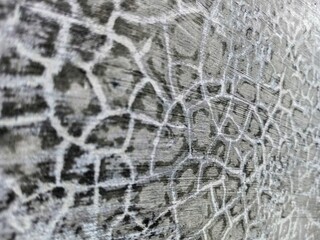 Cracked grunge concrete cement walls, building damage due to natural factors and age, walls need renovation, texture of cracks similar to fish scales © Sigit