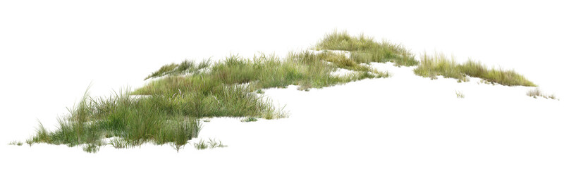 Obraz premium High-resolution isolated green grass clumps on a pure white background. Sharp and highly detailed cutout field grass element perfectly suited for architectural rendering, l