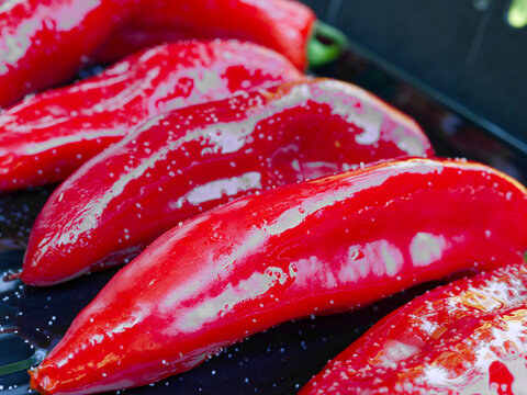 Fresh Red Romano Peppers on a Gas Grill. Close-up of salted and oiled red romano peppers on a black sheet on a gas grill being grilled for a vegetarian meal.