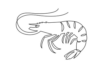 Fototapeta premium Shrimp continuous one line drawing on white background minimalist outline vector illustration