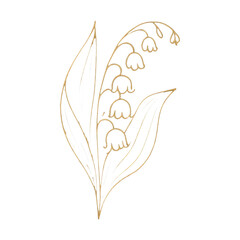 Obraz premium PNG Elegant golden floral line art