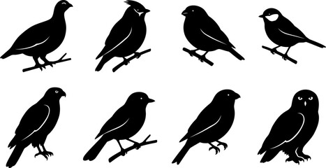 Obraz premium Diverse bird species silhouettes for wildlife nature and avian themed graphic design and vector illustration sets
