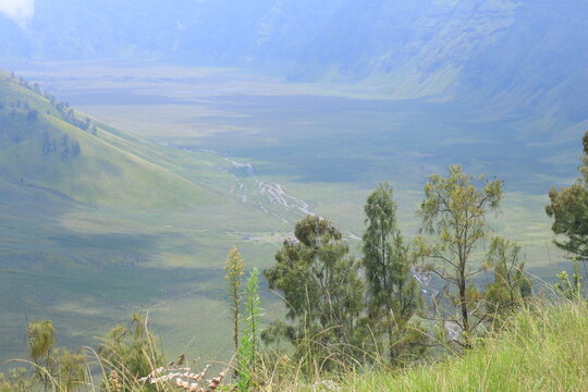 Beautiful green valley landscape of Bromo Teletubbies hill under foggy sky in East Java, Indonesia.