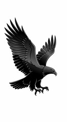 Fototapeta premium 黒鷲、迫る狩りの瞬間