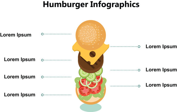 Hamburger infographic template with exploded vertical view of burger layers and text placeholders