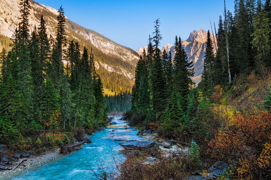 Turquoise river flowing through mountain forest valley