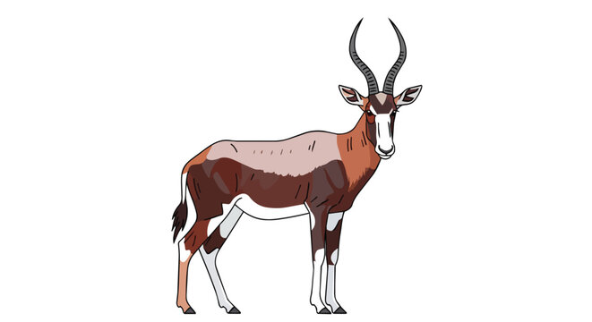 Blesbok Antelope Standing Side Profile Illustration Isolated on White Background