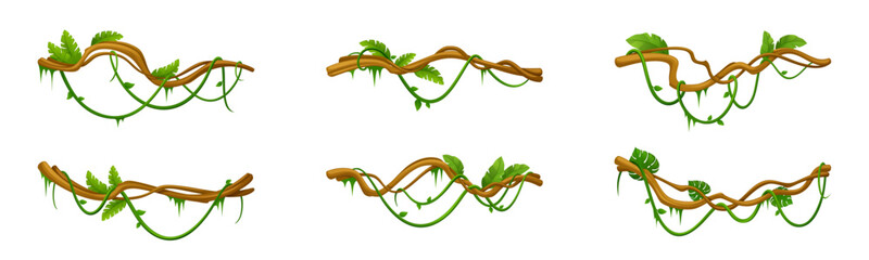 Naklejka premium Jungle liana vines with tree branches and tropical plants. Vector cartoon frames of forest ivy, game borders, creeper elements and decorative leaves for rainforest backgrounds and wild designs.