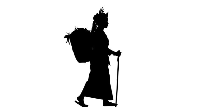 Silhouette of a person hiking outdoors.
