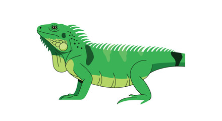 Fototapeta premium Green Iguana Illustration Isolated on White Background Side View Reptile Lizard