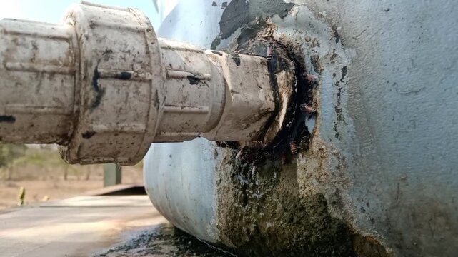 Honey bee drinking from a leaking agricultural water tank valve with failed sealant repair, Leaking Water Tank Joint with Rusty Corrosion and Algae Buildup