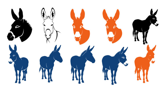 Donkeys and burros in various colors.