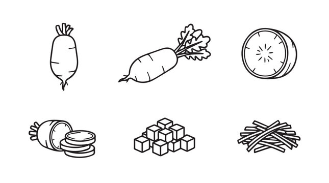 Daikon radish vegetable line art illustration set with vegetable ingredient agriculture nutrition vegetarian julienne culinary monochrome illustration collection isolated background