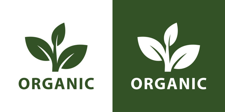 Minimalist organic text logo with three leaves. Simple green and white eco friendly design for natural brand identity vector.