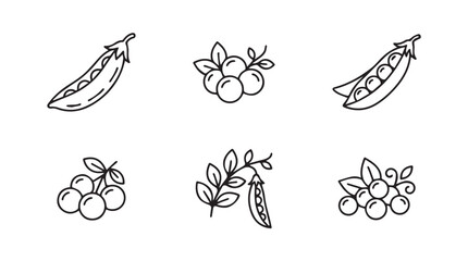 Fototapeta premium Black and white set of peas and berries illustration with hand drawn vegetable illustration botanical agriculture nutrition vegetarian culinary