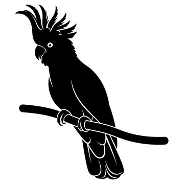 Black crow with wings spread standing on ground.