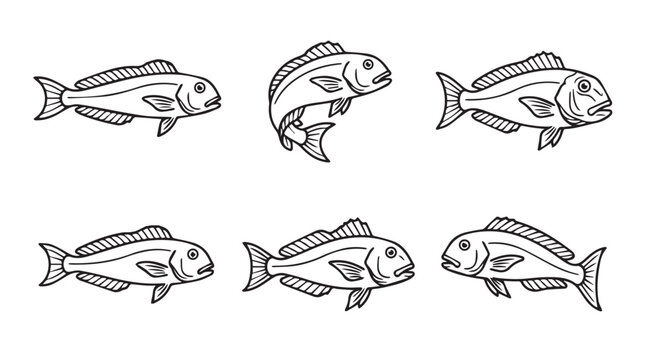 Set of sketch-style marine snapper fish illustrations with wildlife handdrawn illustration collection monochrome isolated swimming ichthyology underwater environment ecosystem culinary