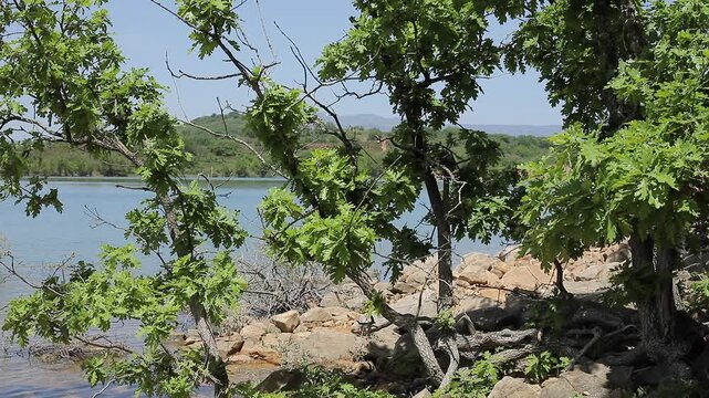 A lake and its surroundings 