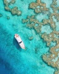 High aerial shot of a small white luxury yacht cruising over a complex coral reef, translucent turquoise water, reef patterns looking like organic neural
