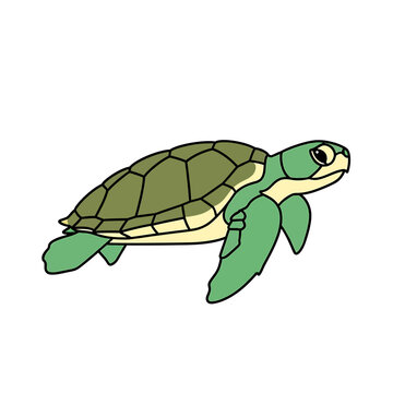 A cute cartoon sea turtle swimming gracefully in a simple vector illustration style.