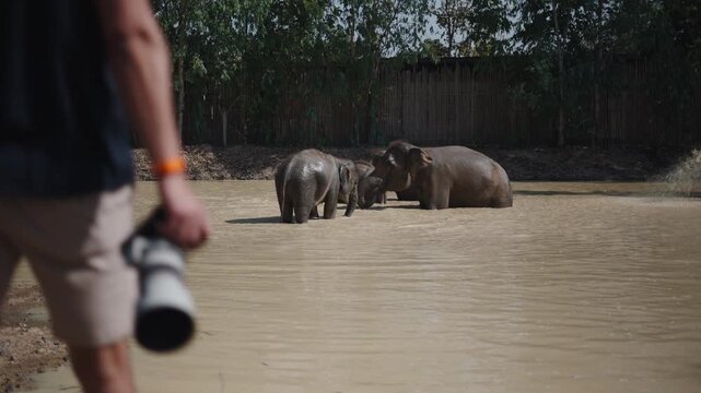 Photographer taking pictures of elephants bathing