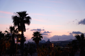 Fototapeta premium Urban waterfront with ferris wheel and modern architecture in evening light Spain Barcelona