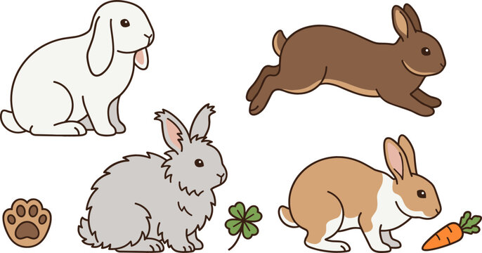 Domestic Pet Rabbit Breed Vector Illustration Set featuring White Lop Grey Angora and Running Brown Bunnies with Carrot and Clover Design