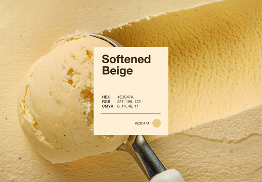 Colour Palette Presentation Template For Brand Guidelines, Moodboard, Color Style Guide Mockups