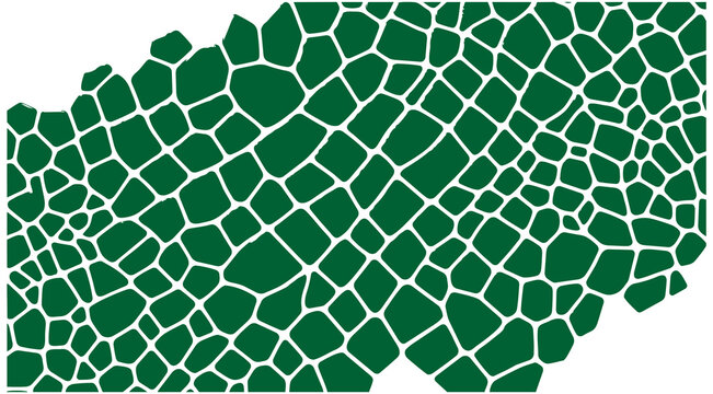 Modern abstract green organic cellular pattern, Reptile skin or crocodile squama, snake scale pattern, Structure of plant cells or classic stonework, landscape design or biotechnology 