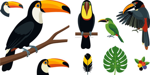 Obraz premium Tropical Toucan Bird Vector Set featuring Toco Toucan on Branch, Aracari, Emerald Toucanet, Monstera Leaf, Exotic Berries, and Feathers for Jungle Designs