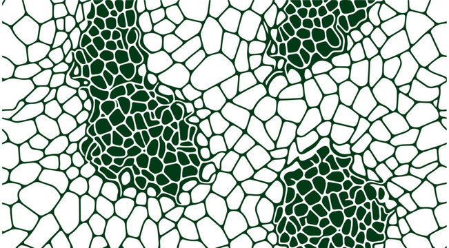 Modern abstract green organic cellular pattern, Reptile skin or crocodile squama, snake scale pattern, Structure of plant cells or classic stonework, landscape design or biotechnology 