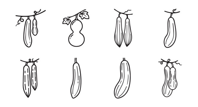 Assorted vegetable hand drawn line art collection featuring cucumbers and squashes vegetable cucumber ingredient vegetarian botanical monochrome isolated background illustration collection