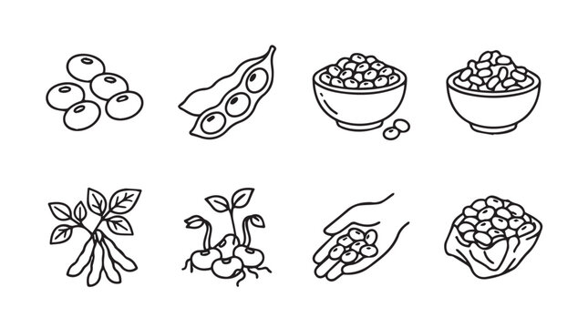 Soybean and legume product hand drawn vector illustration icons with agriculture monochrome isolated background illustration collection nutrition vegetarian ingredient culinary botanical