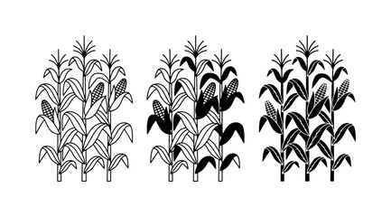 Corn Stalks Vector Set, Maize Plants, Agricultural Harvest Icons, Organic Food Graphics © Imtiaz
