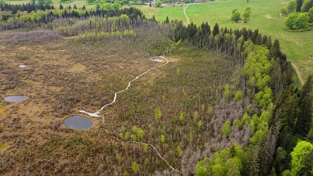 Aerial drone view of a peat bog with a winding boardwalk, ponds and a meadow, Tinovul Mohos, Harghita, Romania.
