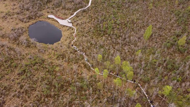 Aerial drone view of a winding boardwalk through a peat bog with a pool and visitors, Tinovul Mohos, Harghita, Romania.