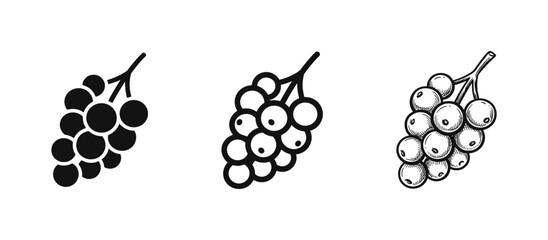 Fototapeta premium Bunch of Grapes Fruit Icon Set in Three Distinct Graphic Styles