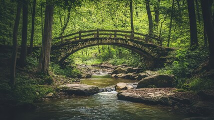 Fototapeta premium Serene forest bridge over stream with sunlight filtering through trees